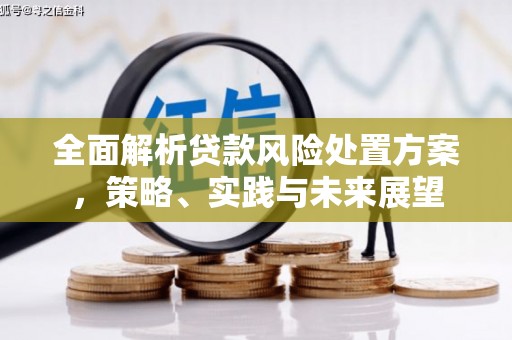天元全面解析贷款风险处置方案，策略、实践与未来展望