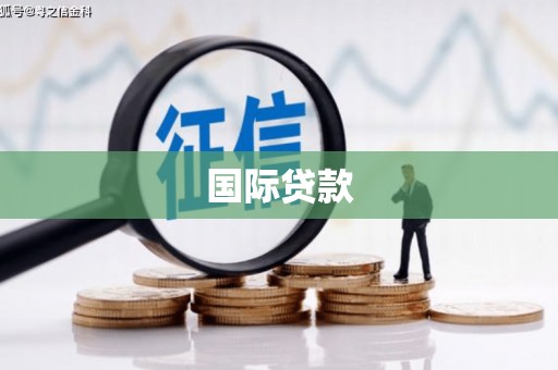 天元国际贷款