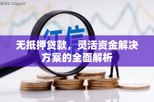 天元无抵押贷款，灵活资金解决方案的全面解析