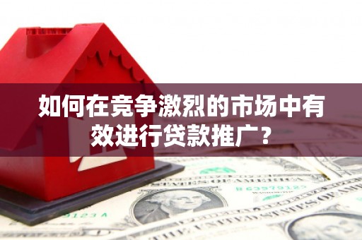 天元如何在竞争激烈的市场中有效进行贷款推广？