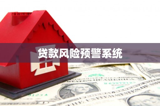 天元贷款风险预警系统