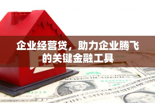 天元企业经营贷，助力企业腾飞的关键金融工具