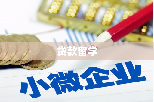 天元贷款留学