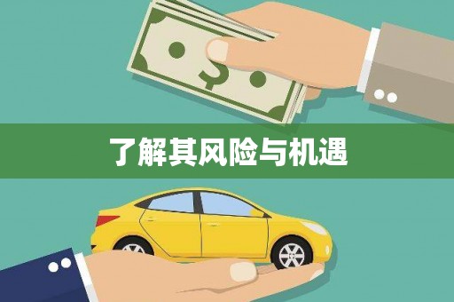 天元了解其风险与机遇