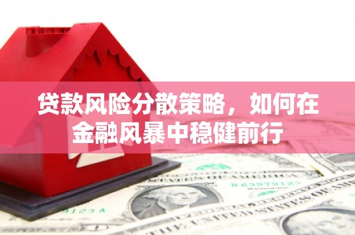 天元贷款风险分散策略，如何在金融风暴中稳健前行