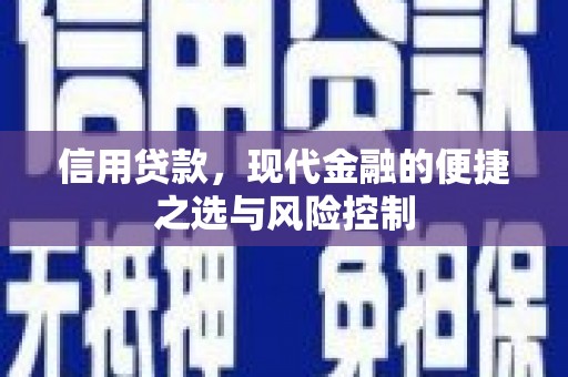 天元信用贷款，现代金融的便捷之选与风险控制