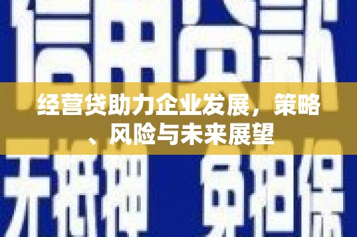 天元经营贷助力企业发展，策略、风险与未来展望