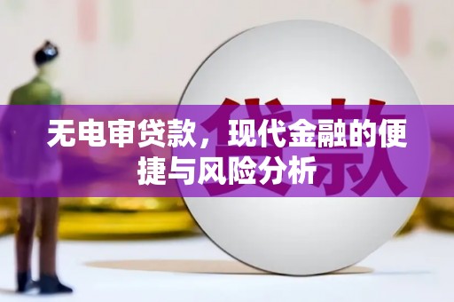 天元无电审贷款，现代金融的便捷与风险分析