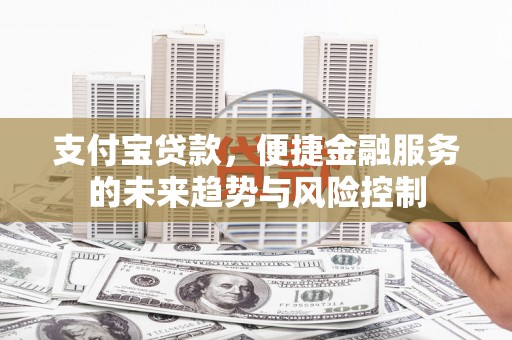 天元支付宝贷款，便捷金融服务的未来趋势与风险控制