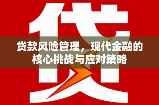 天元贷款风险管理，现代金融的核心挑战与应对策略