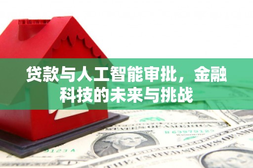 天元贷款与人工智能审批，金融科技的未来与挑战