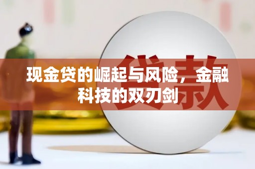 天元现金贷的崛起与风险，金融科技的双刃剑