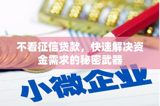 天元不看征信贷款，快速解决资金需求的秘密武器