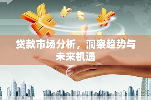 天元贷款市场分析，洞察趋势与未来机遇
