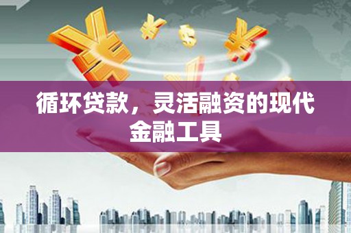 天元循环贷款，灵活融资的现代金融工具