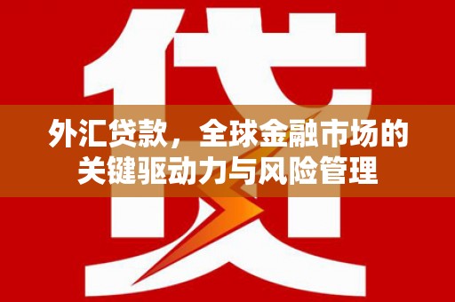 天元外汇贷款，全球金融市场的关键驱动力与风险管理