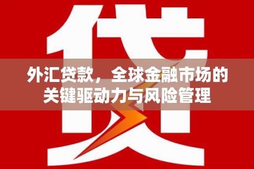 天元外汇贷款，全球金融市场的关键驱动力与风险管理