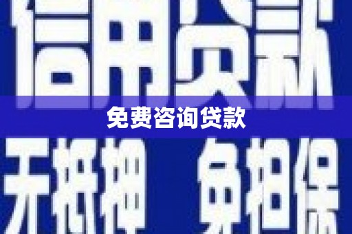 天元免费咨询贷款