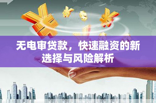 天元无电审贷款，快速融资的新选择与风险解析