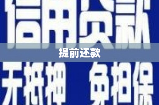 天元提前还款