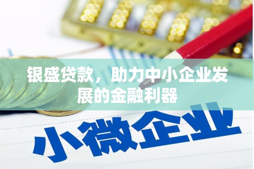 天元银盛贷款，助力中小企业发展的金融利器