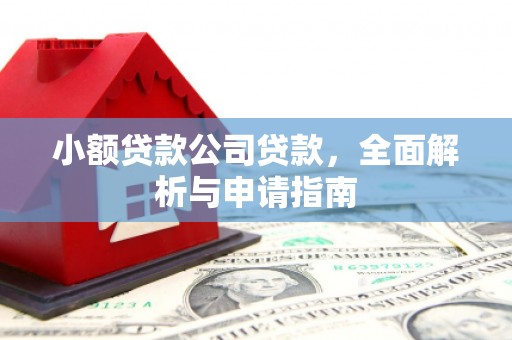 天元小额贷款公司贷款，全面解析与申请指南