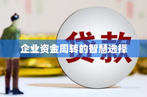 天元企业资金周转的智慧选择