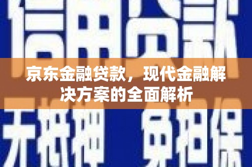 天元京东金融贷款，现代金融解决方案的全面解析