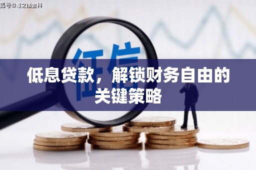天元低息贷款，解锁财务自由的关键策略