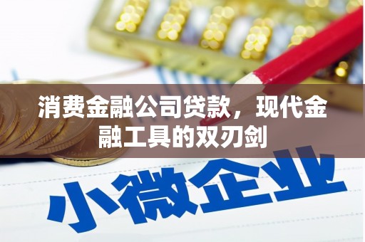 天元消费金融公司贷款，现代金融工具的双刃剑