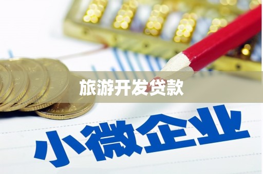 天元旅游开发贷款