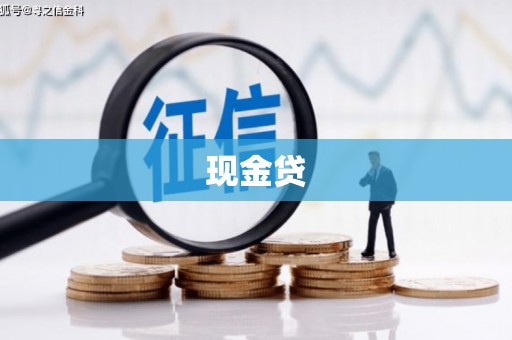 天元现金贷