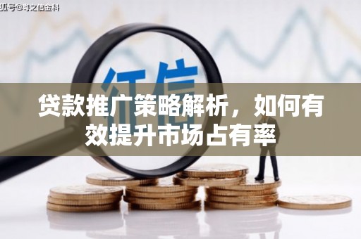 天元贷款推广策略解析，如何有效提升市场占有率