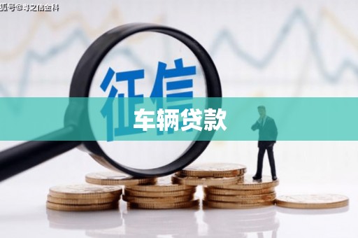 天元车辆贷款