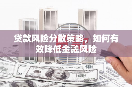 天元贷款风险分散策略，如何有效降低金融风险