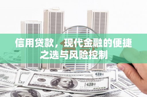 天元信用贷款，现代金融的便捷之选与风险控制
