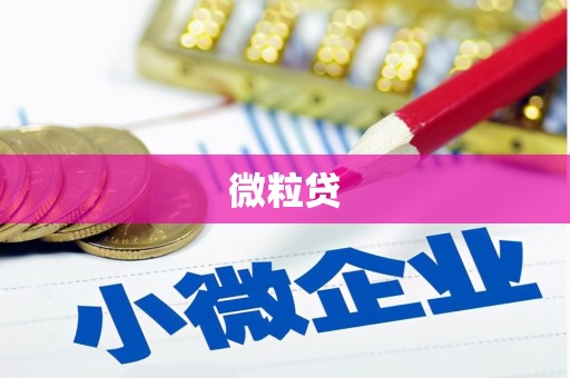 天元微粒贷
