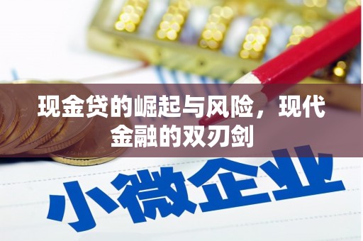 天元现金贷的崛起与风险，现代金融的双刃剑