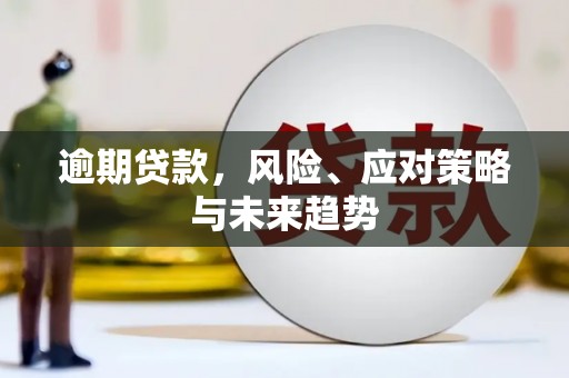 天元逾期贷款，风险、应对策略与未来趋势