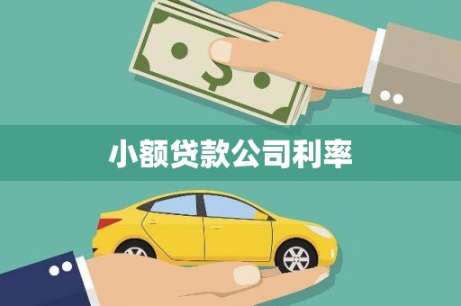 天元小额贷款公司利率