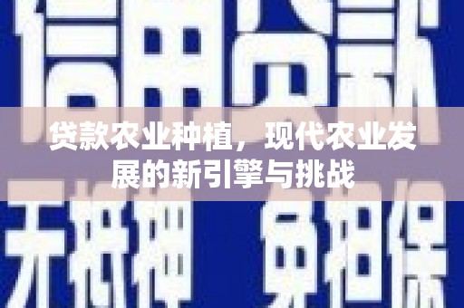天元贷款农业种植，现代农业发展的新引擎与挑战