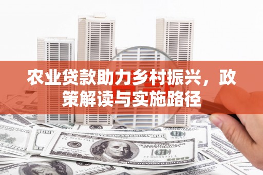天元农业贷款助力乡村振兴，政策解读与实施路径