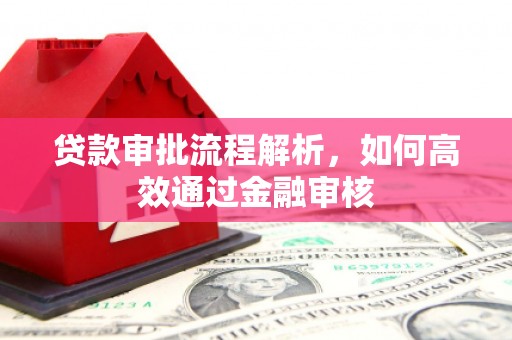 天元贷款审批流程解析，如何高效通过金融审核