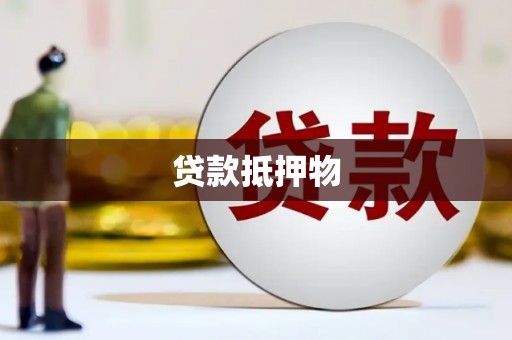 天元贷款抵押物