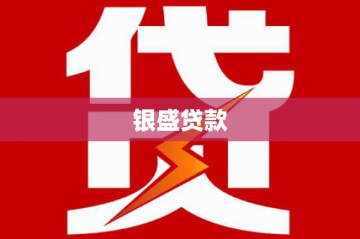 天元银盛贷款