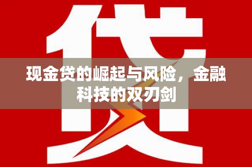 天元现金贷的崛起与风险，金融科技的双刃剑