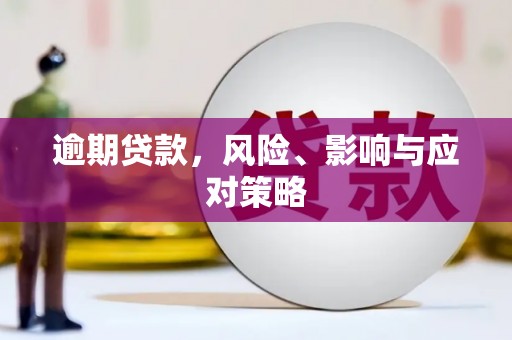 天元逾期贷款，风险、影响与应对策略
