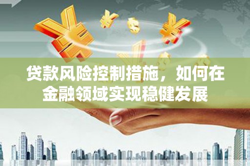 天元贷款风险控制措施，如何在金融领域实现稳健发展