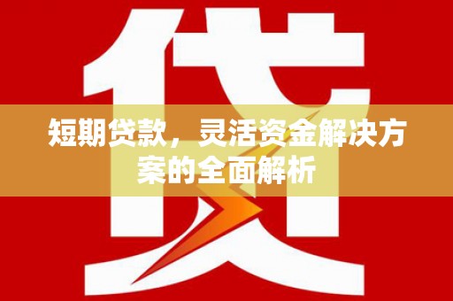 天元短期贷款，灵活资金解决方案的全面解析