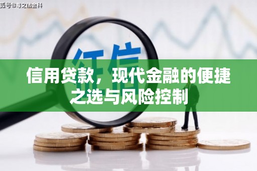 天元信用贷款，现代金融的便捷之选与风险控制